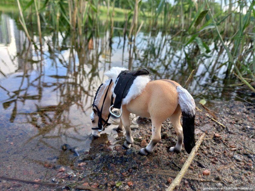 Скитание разведчиков племени дварнази (фото 7)