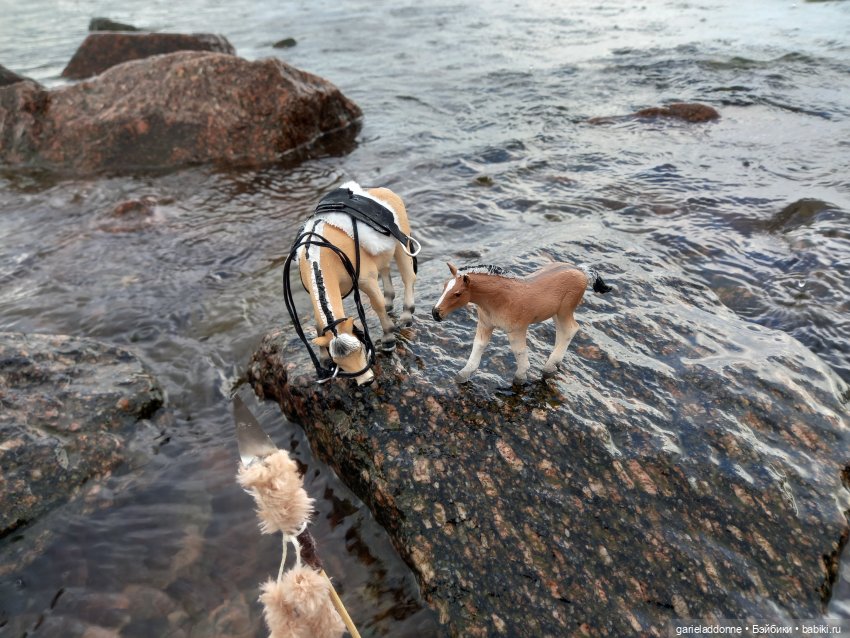 Скитание разведчиков племени дварнази (фото 3)