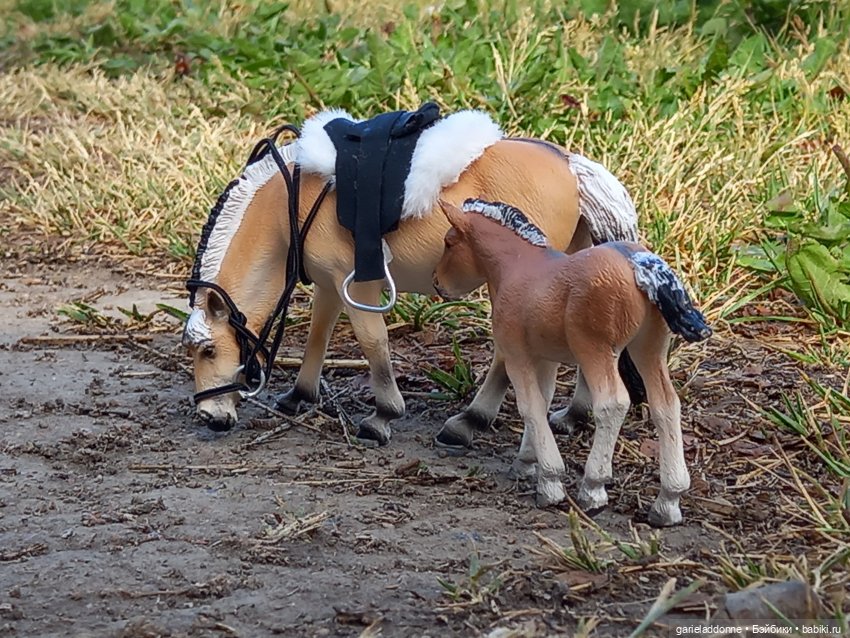 Скитание разведчиков племени дварнази
