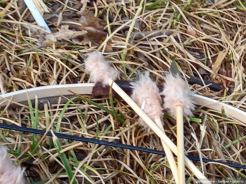 Скитание разведчиков племени дварнази (фото 10)