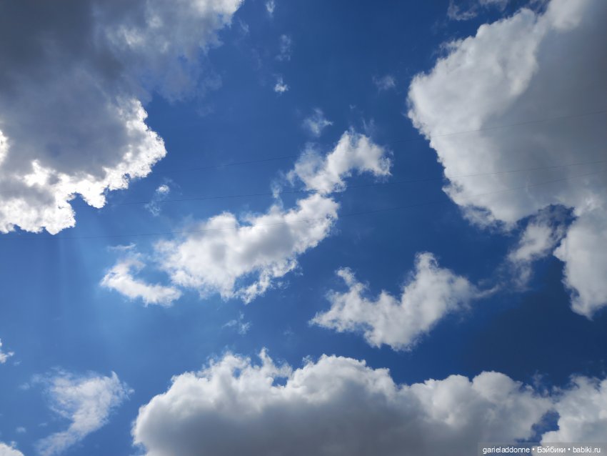 Скитание разведчиков племени дварнази