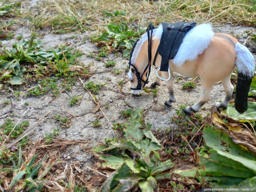 Скитание разведчиков племени дварнази