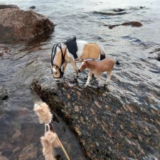 Скитание разведчиков племени дварнази