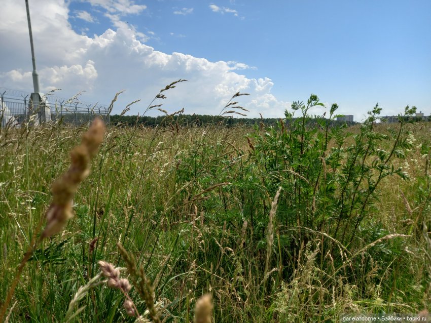 Вождь Дварнази — Зарисовки из кукольной жизни: фотоистории