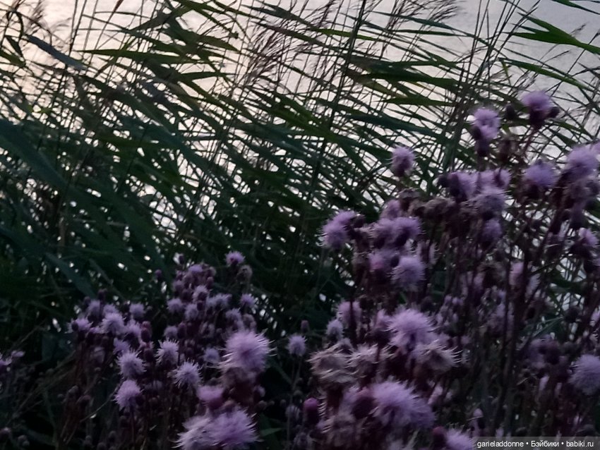 Вождь Дварнази — Зарисовки из кукольной жизни: фотоистории (фото 3)