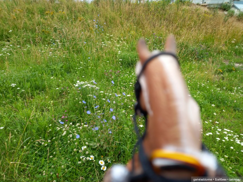 Вождь Дварнази — Зарисовки из кукольной жизни: фотоистории