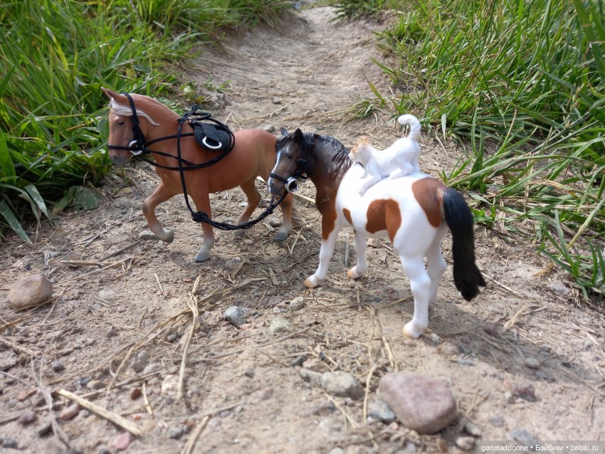 Вождь Дварнази — Зарисовки из кукольной жизни: фотоистории