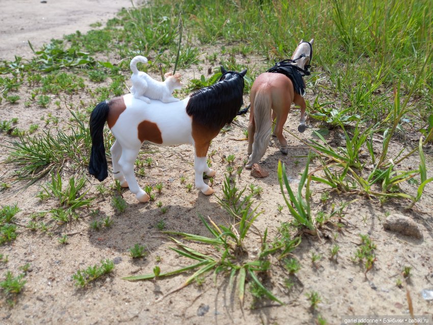 Вождь Дварнази — Зарисовки из кукольной жизни: фотоистории