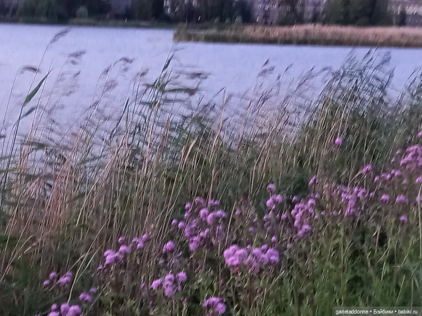 Вождь Дварнази — Зарисовки из кукольной жизни: фотоистории (фото 5)