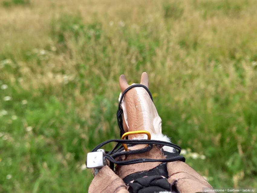 Вождь Дварнази — Зарисовки из кукольной жизни: фотоистории (фото 10)