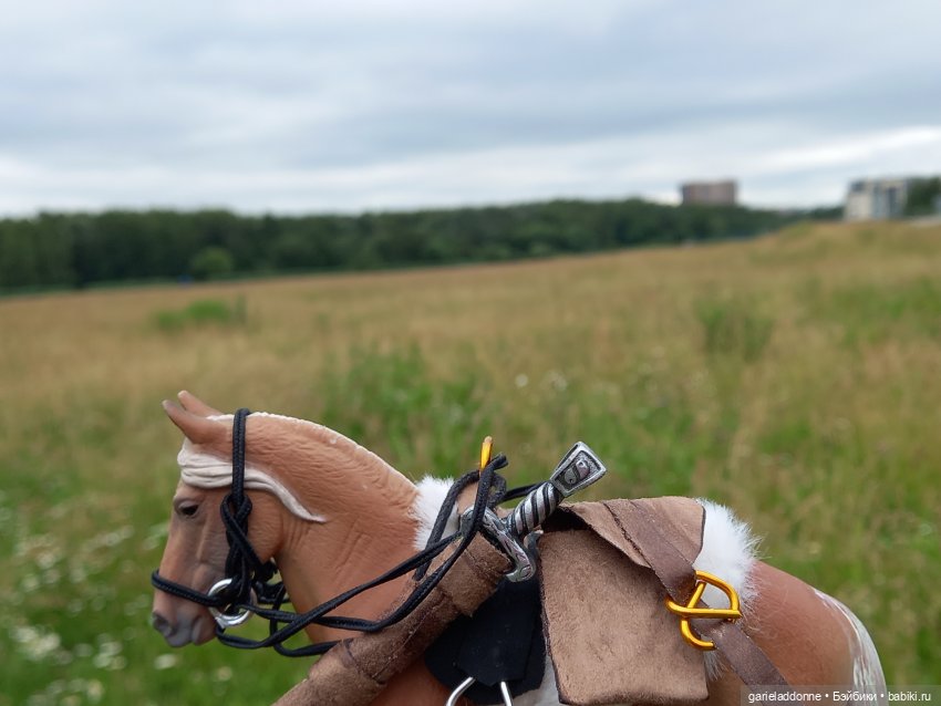 Вождь Дварнази — Зарисовки из кукольной жизни: фотоистории (фото 9)