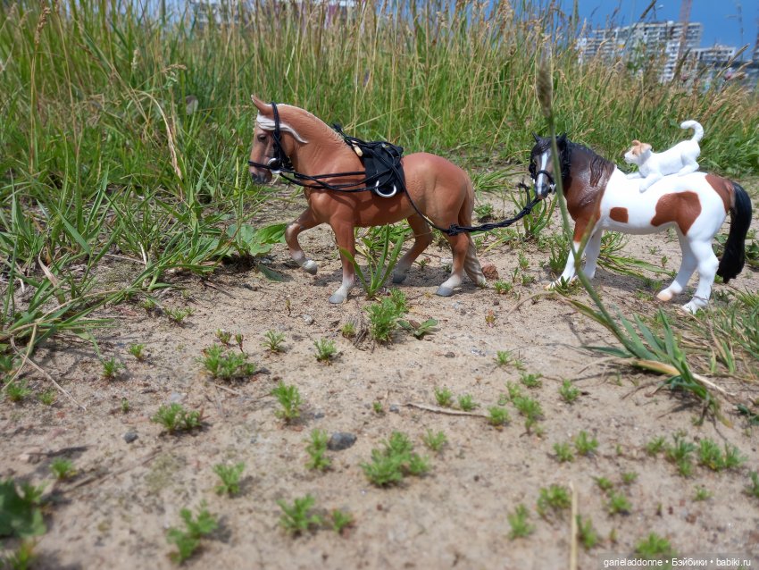 Вождь Дварнази — Зарисовки из кукольной жизни: фотоистории