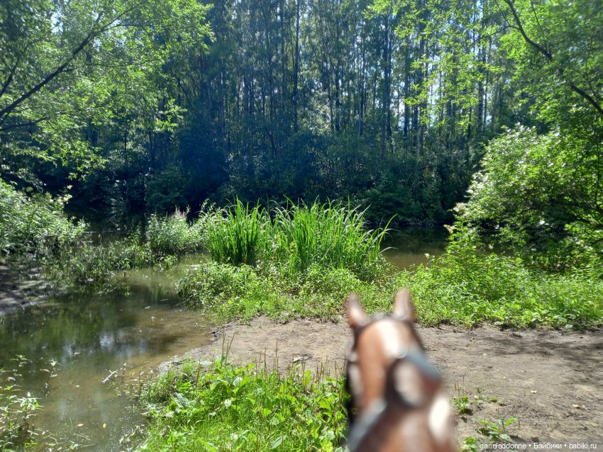 Все дальше на юг — Зарисовки из кукольной жизни: фотоистории