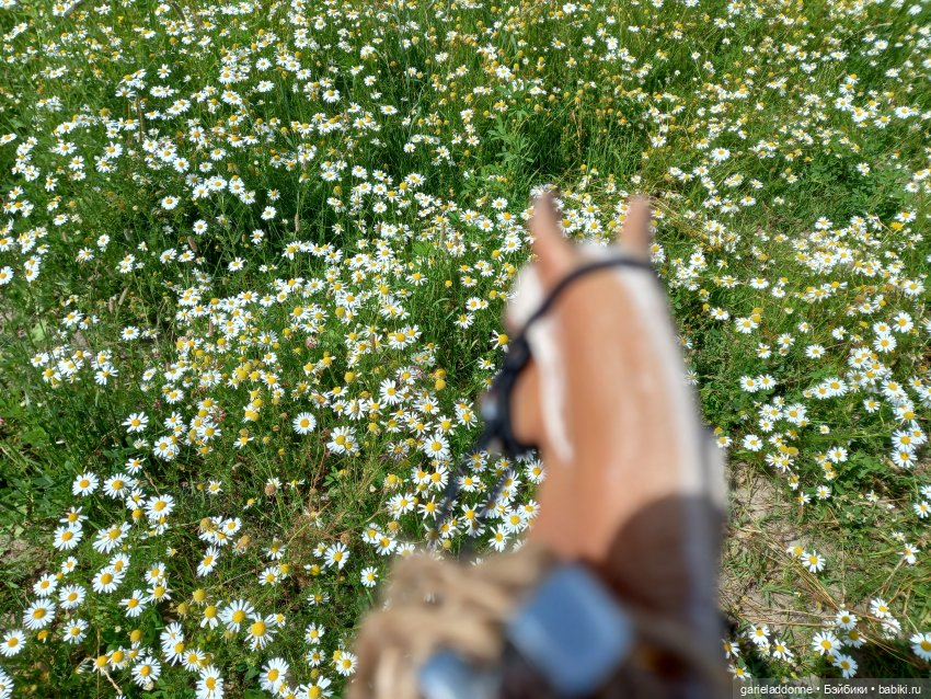 Все дальше на юг — Зарисовки из кукольной жизни: фотоистории