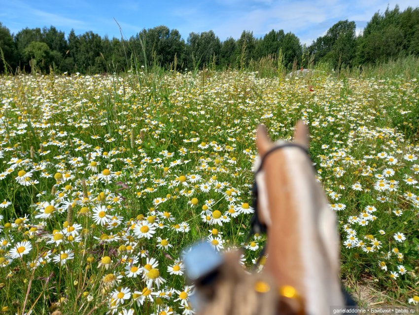 Все дальше на юг — Зарисовки из кукольной жизни: фотоистории
