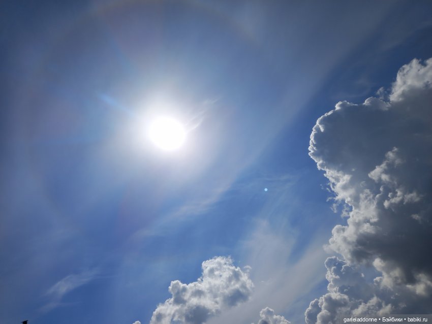 Все дальше на юг — Зарисовки из кукольной жизни: фотоистории