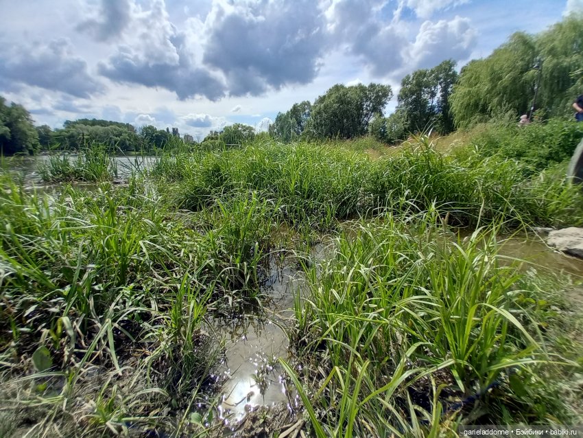 Все дальше на юг — Зарисовки из кукольной жизни: фотоистории