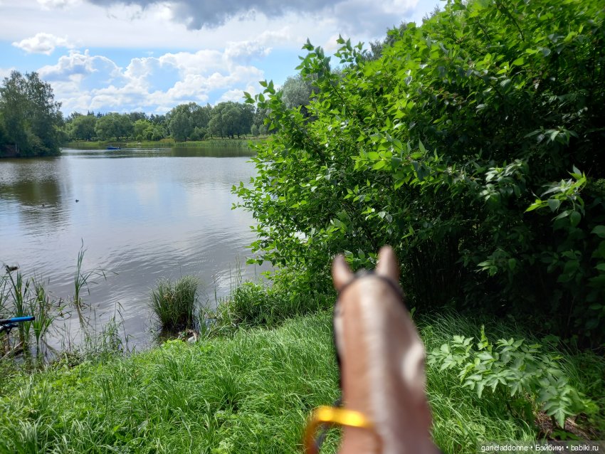 Все дальше на юг — Зарисовки из кукольной жизни: фотоистории