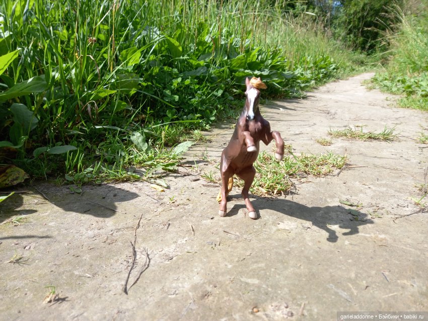 Все дальше на юг — Зарисовки из кукольной жизни: фотоистории