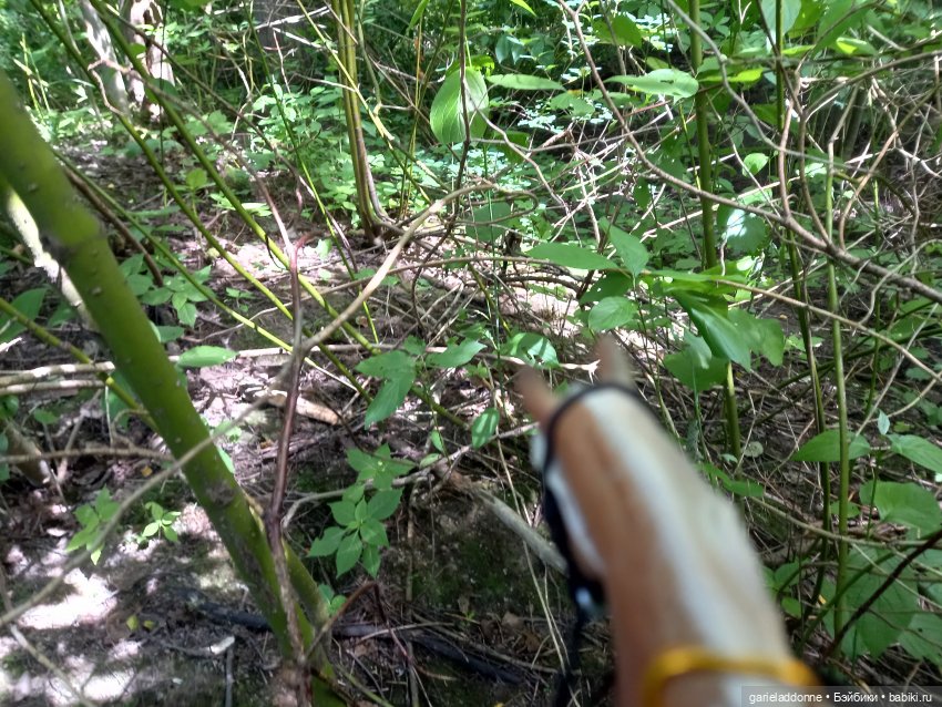 Все дальше на юг — Зарисовки из кукольной жизни: фотоистории