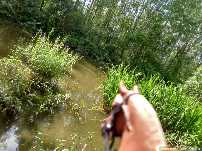 Все дальше на юг — Зарисовки из кукольной жизни: фотоистории