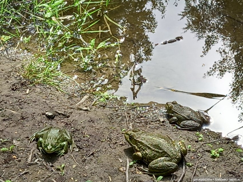 Все дальше на юг — Зарисовки из кукольной жизни: фотоистории