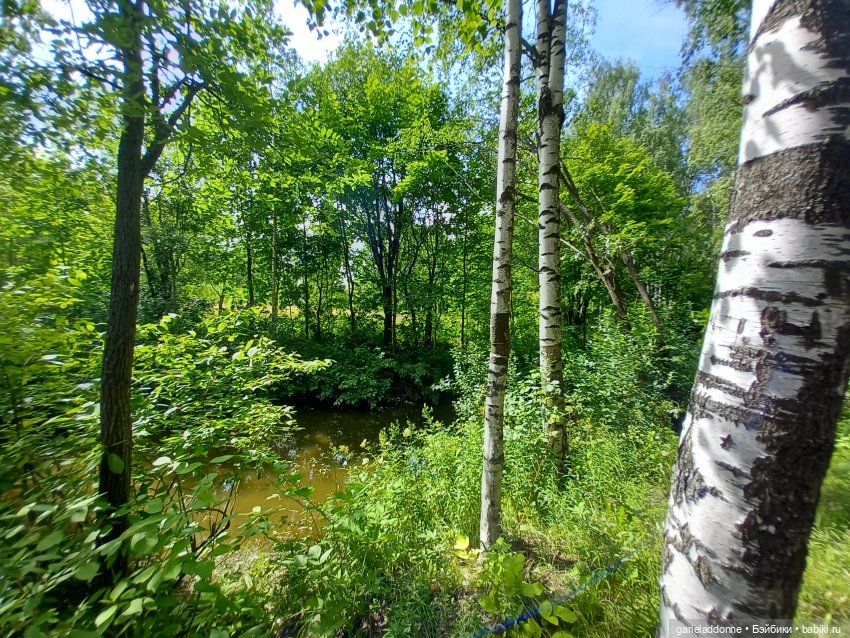 Все дальше на юг — Зарисовки из кукольной жизни: фотоистории