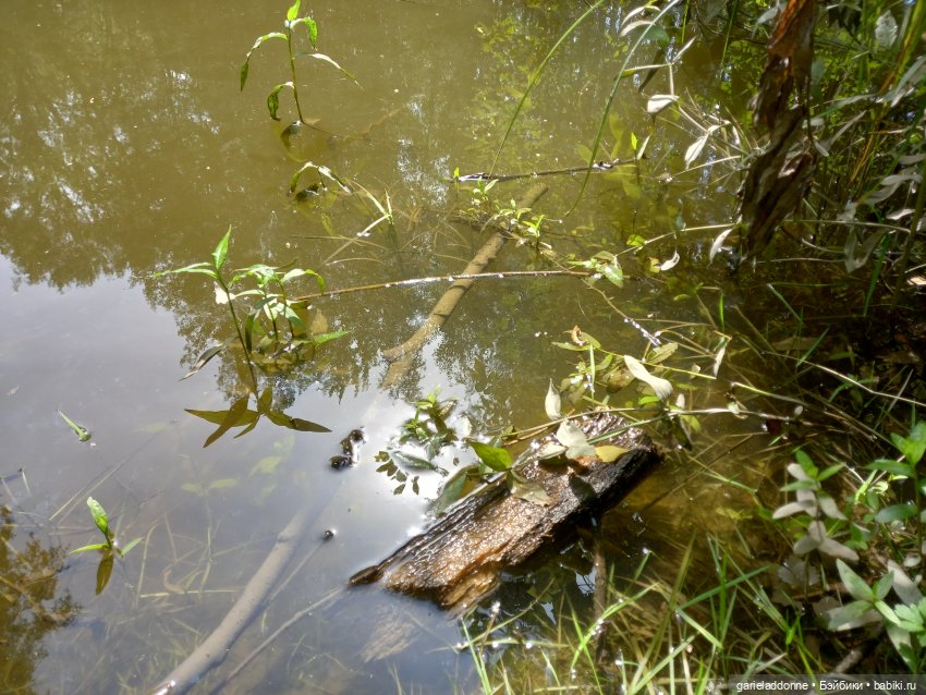 Все дальше на юг — Зарисовки из кукольной жизни: фотоистории