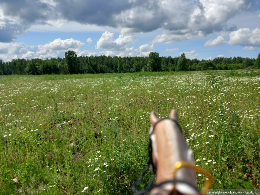 Все дальше на юг — Зарисовки из кукольной жизни: фотоистории (фото 8)
