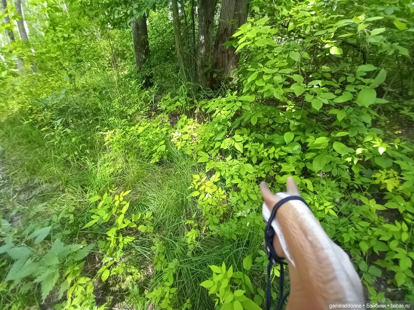 Все дальше на юг — Зарисовки из кукольной жизни: фотоистории