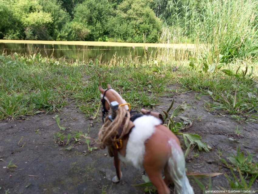 Все дальше на юг — Зарисовки из кукольной жизни: фотоистории