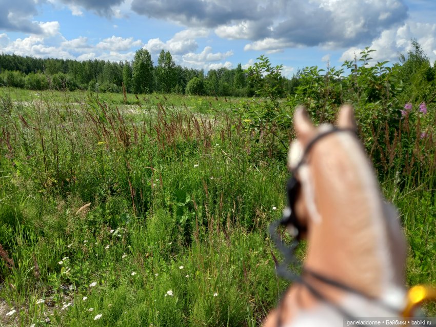 Все дальше на юг — Зарисовки из кукольной жизни: фотоистории (фото 4)