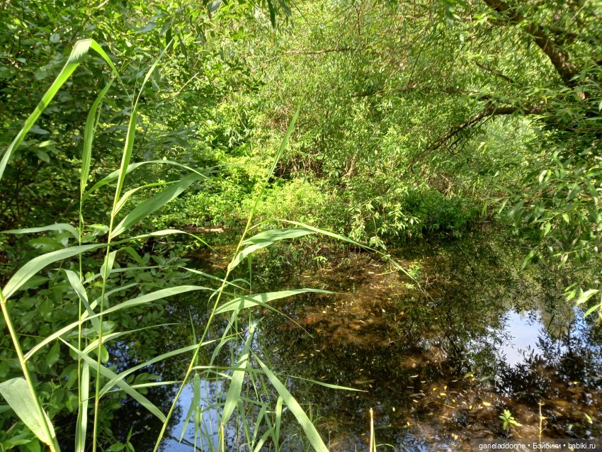 Все дальше на юг — Зарисовки из кукольной жизни: фотоистории