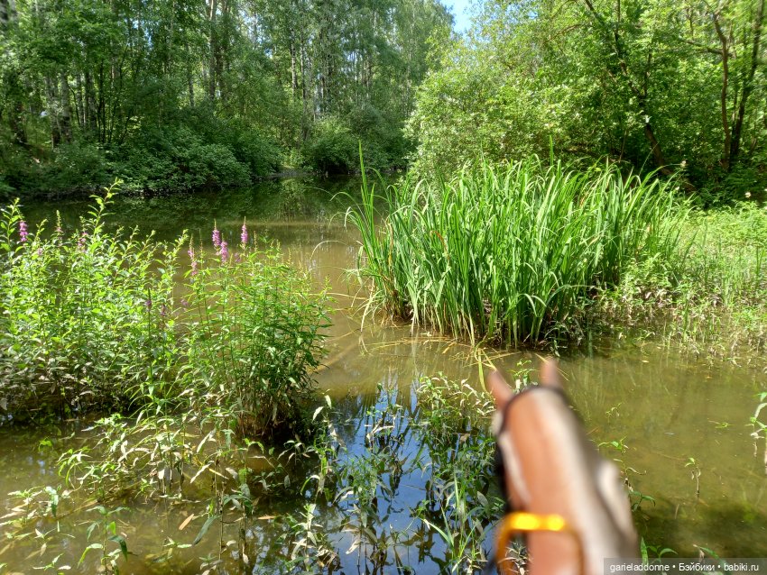 Все дальше на юг — Зарисовки из кукольной жизни: фотоистории