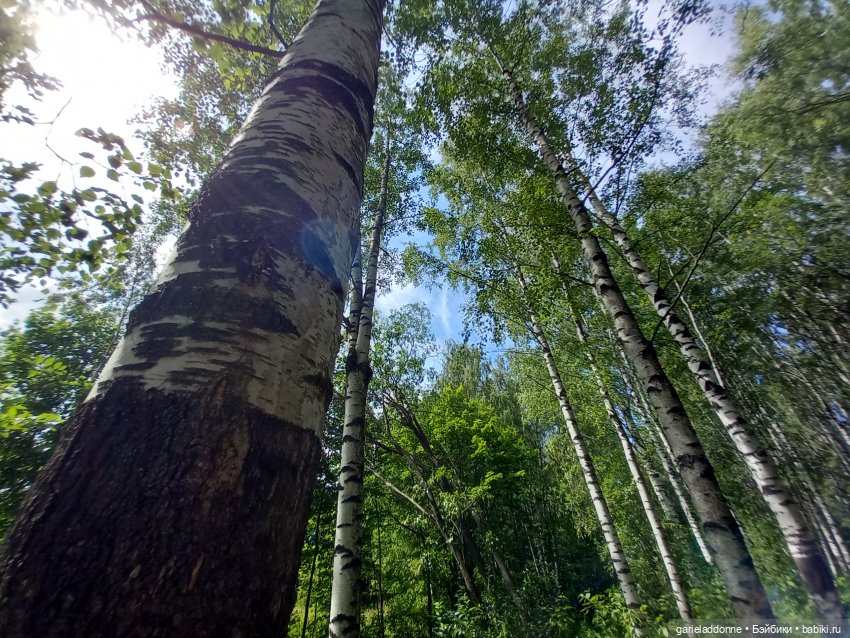 Все дальше на юг — Зарисовки из кукольной жизни: фотоистории