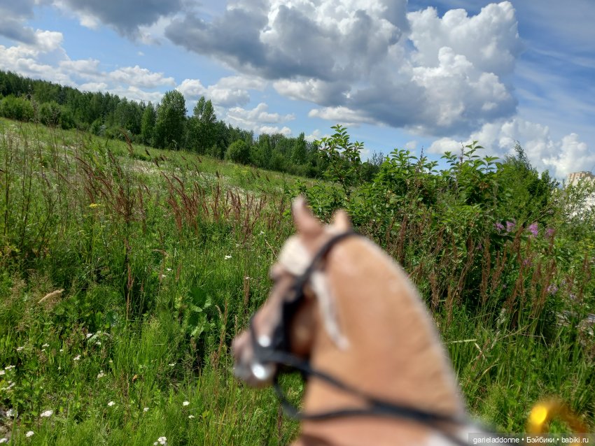 Все дальше на юг — Зарисовки из кукольной жизни: фотоистории (фото 5)