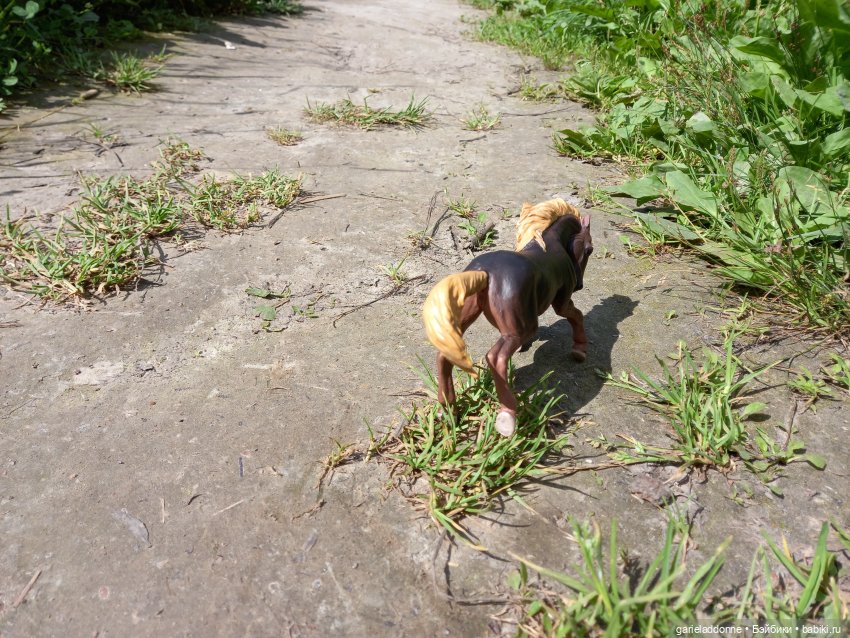 Все дальше на юг — Зарисовки из кукольной жизни: фотоистории