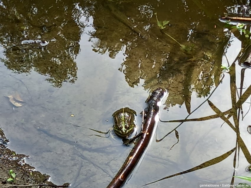 Все дальше на юг — Зарисовки из кукольной жизни: фотоистории