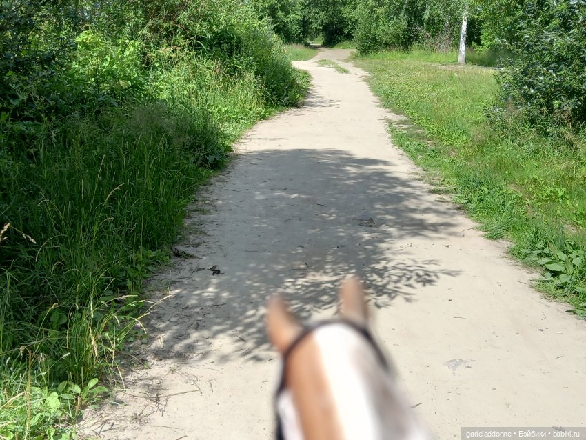Все дальше на юг — Зарисовки из кукольной жизни: фотоистории