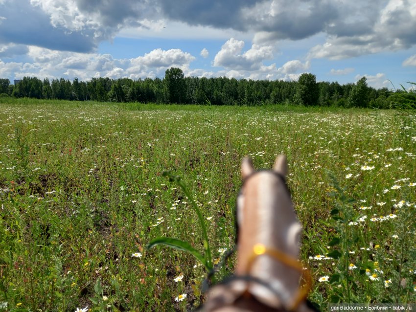 Все дальше на юг — Зарисовки из кукольной жизни: фотоистории (фото 10)