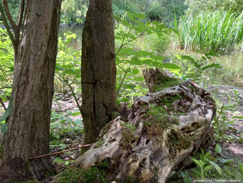 Все дальше на юг — Зарисовки из кукольной жизни: фотоистории