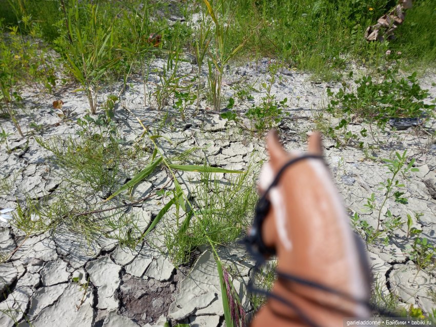 Все дальше на юг — Зарисовки из кукольной жизни: фотоистории (фото 3)