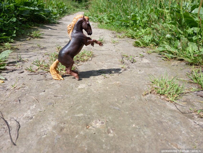 Все дальше на юг — Зарисовки из кукольной жизни: фотоистории