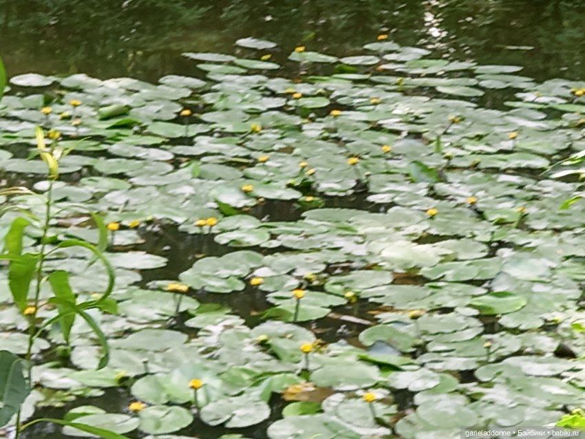 Все дальше на юг — Зарисовки из кукольной жизни: фотоистории