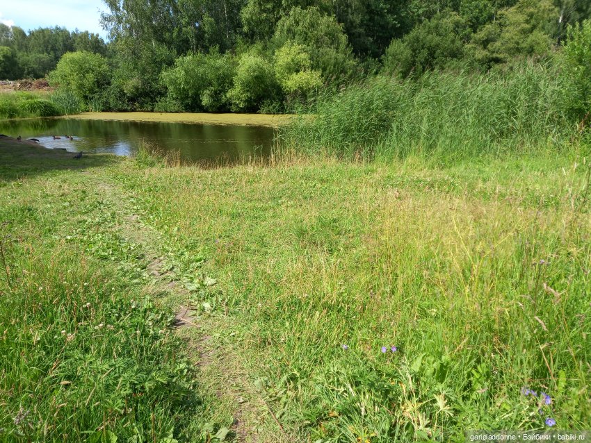 Все дальше на юг — Зарисовки из кукольной жизни: фотоистории