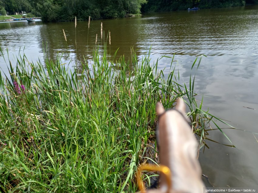 Все дальше на юг — Зарисовки из кукольной жизни: фотоистории