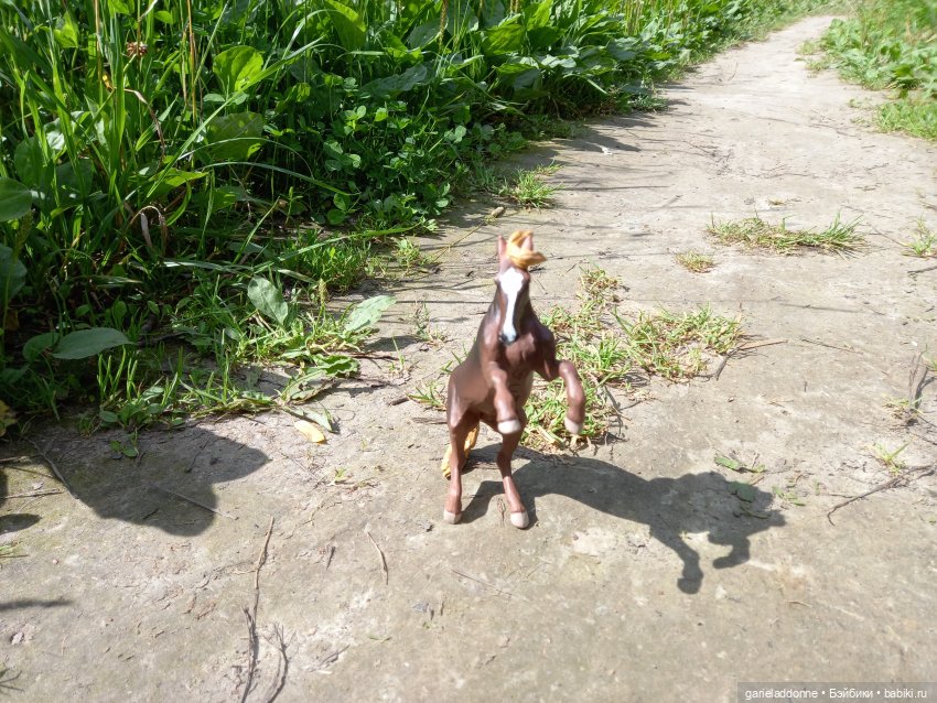 Все дальше на юг — Зарисовки из кукольной жизни: фотоистории