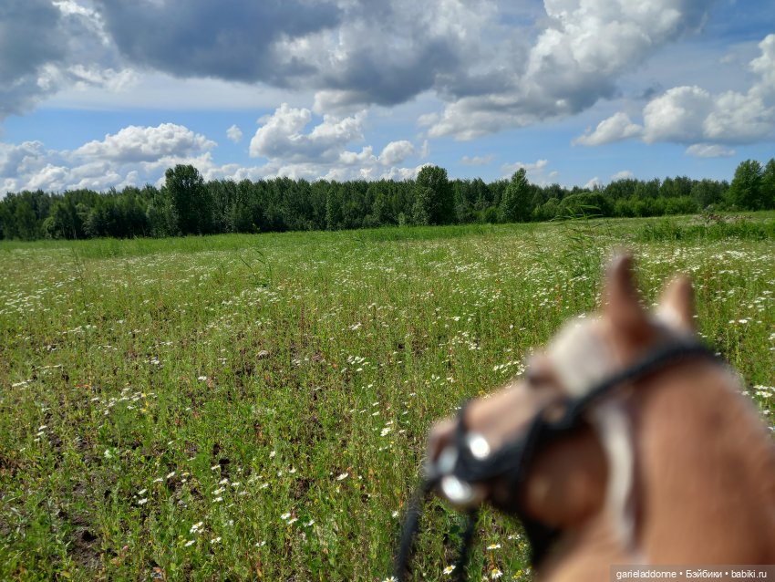 Все дальше на юг — Зарисовки из кукольной жизни: фотоистории