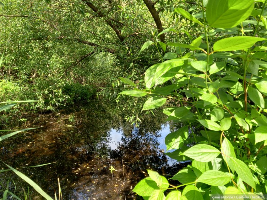 Все дальше на юг — Зарисовки из кукольной жизни: фотоистории