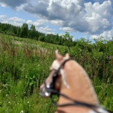 Все дальше на юг